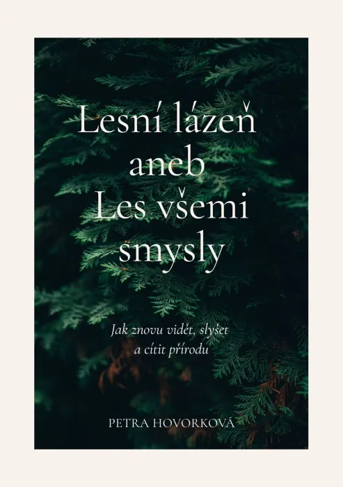 Lesní lázeň všemi smysly: malý průvodce pro chvíle, kdy potřebuješ zpomalit